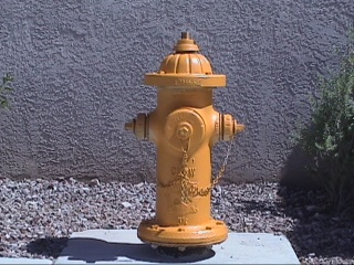 A private fire hydrant